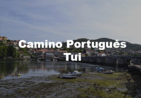 Camino Portugués Organizado